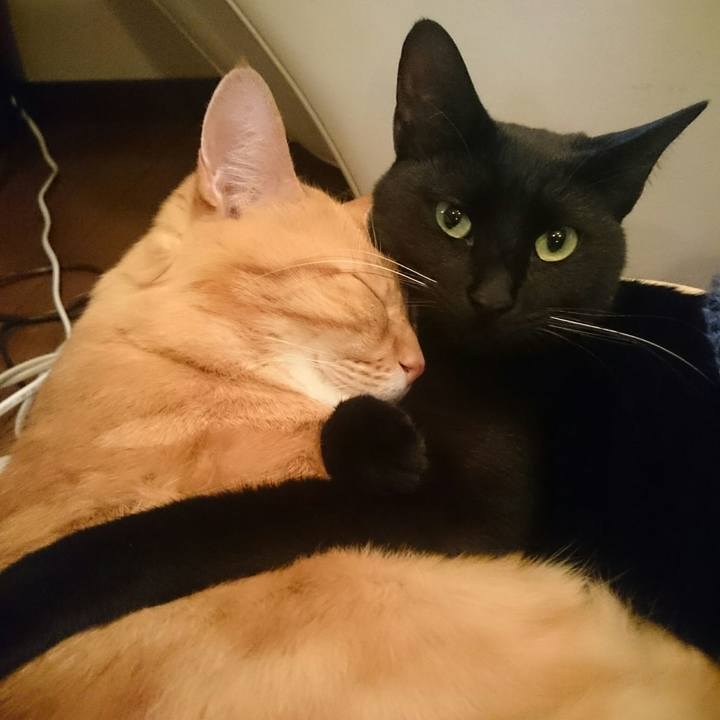 3e0bdcc5 4fbb 40ef b53f 7c245433bc93 1519556083416