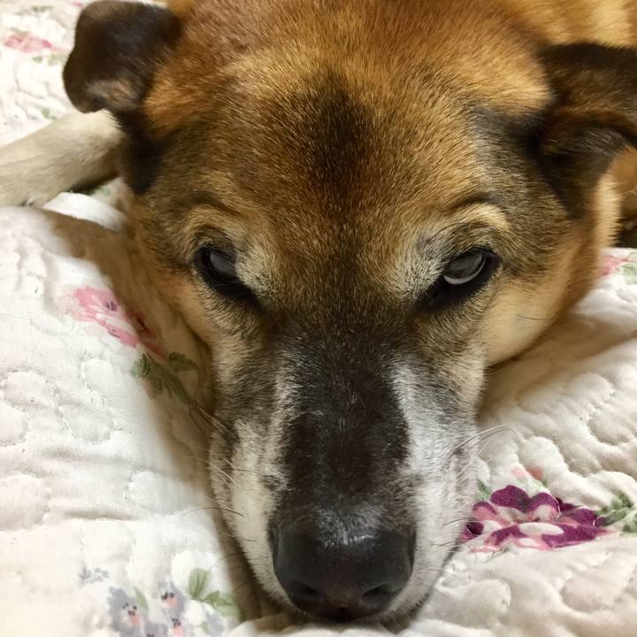 3e0c0704 002a 4213 b957 4bd0dc782a86 1576759804514