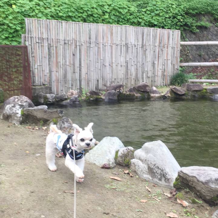 3e0c1dc2 3cf4 4204 8392 3a01c45df984 1537689473517