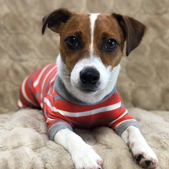 3e0c33db cb14 41e4 9e61 505bebf58c9d 1527828074593