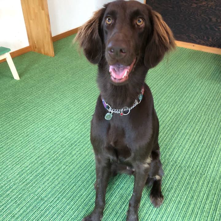 3e0c4c7d 9e86 4036 9363 36001e870251 1570346938062