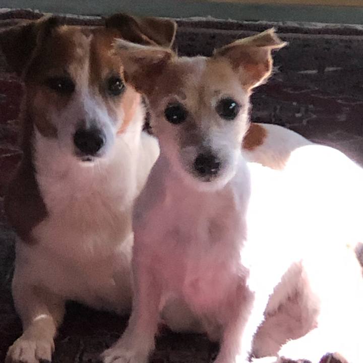 3e0c6d9d c7cf 404a 869a d94e3d0613ad 1604922313451