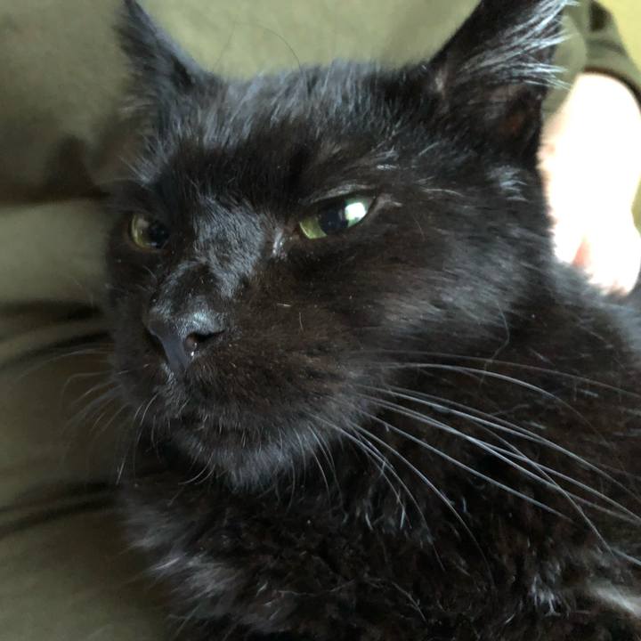 3e0c7734 24ee 40bd a10d a0b7ab6873bf 1567242409435