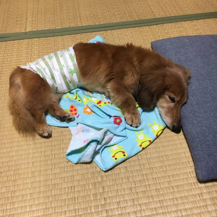 3e0cad64 9622 45e6 88ea 2063e4caab18 1633270805248