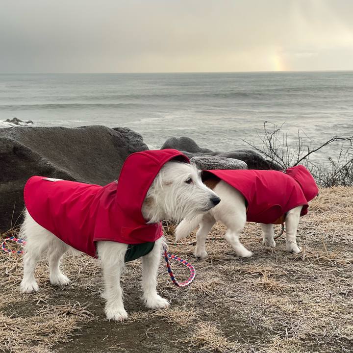 3e0cdb9e 14a2 4b0a a087 0b377c57ed7e 1737847232371