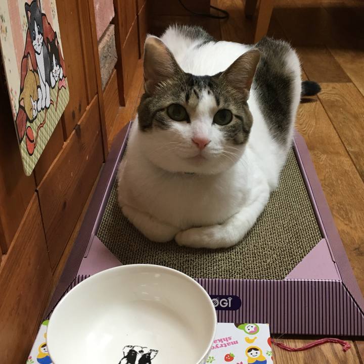 3e0cf1a5 9fde 437d 822f 9cc8bf484831 1551177827204