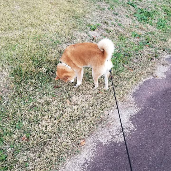 3e0d062a 2fa9 49e6 9571 055bab50c692 1669013745724