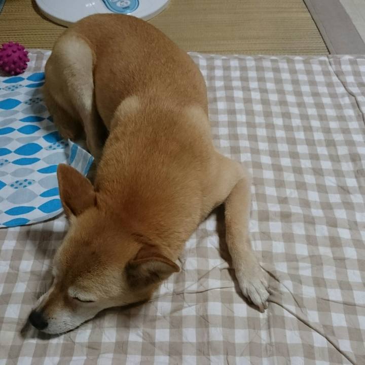 3e0d441a 5320 4311 8c6f 9ac6828c85d4 1530964878794