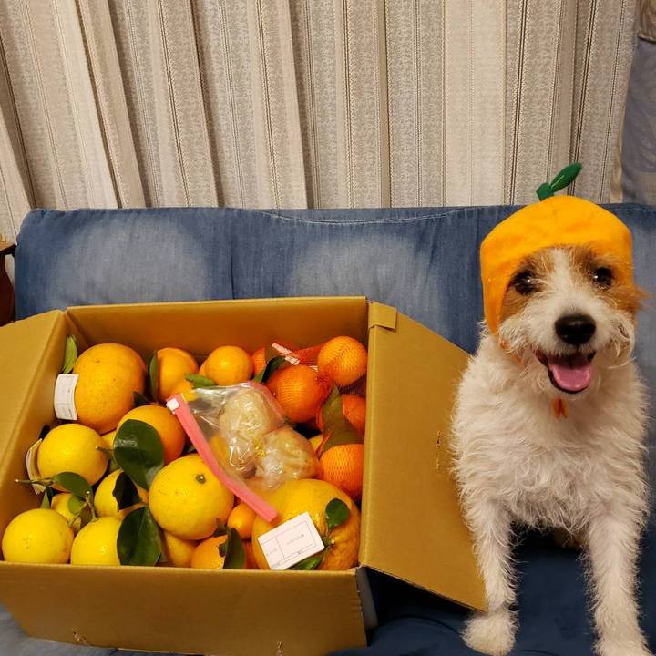 3e0d53f9 af48 449b 95fd 11b7523ad8a6 1620047012194