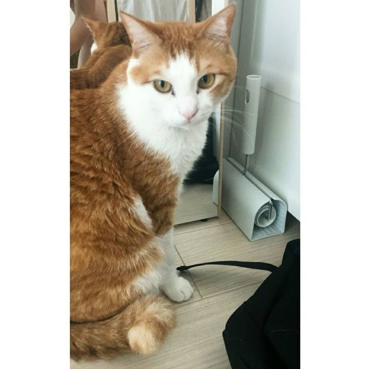 3e0d702b 7d63 4738 a65b 3accf44f9bf7 1527597110248