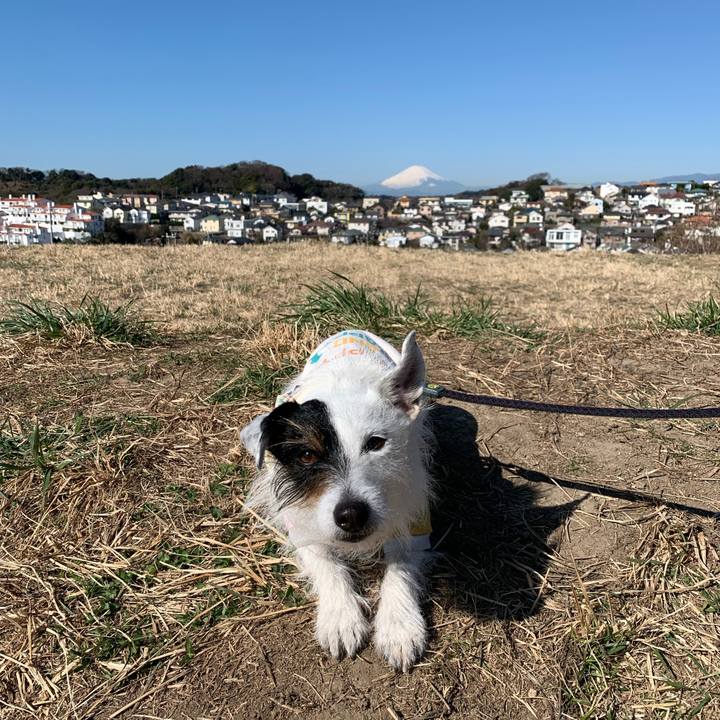 3e0d81ac f6cd 4b39 8d39 66f6b18ffc4e 1677464127212