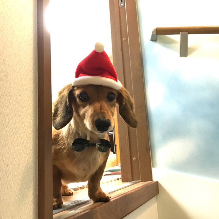 3e0d9a2a 8e99 4aa2 a7b9 f8c055f9f688 1577192406133