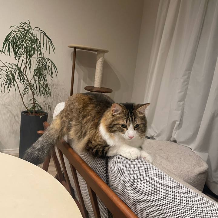 3e0daa0e 6983 4356 aa2f 035287a61c78 1766128319530