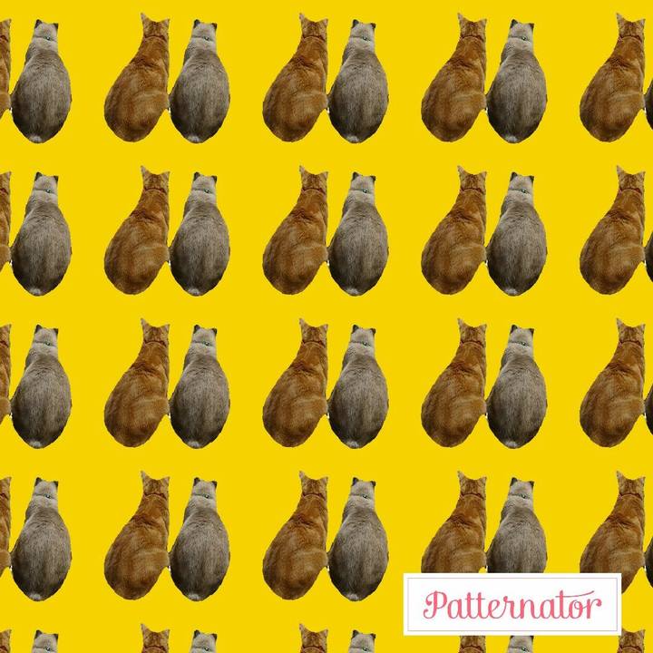 3e0db4be b3ee 4794 83ba 28abab9dd5d8 1507808017641