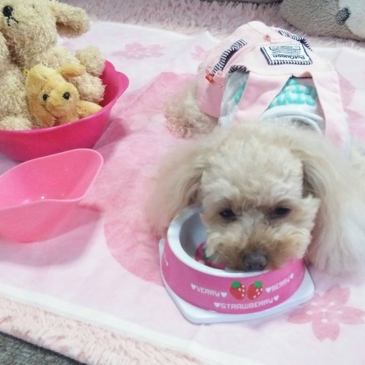 3e0dde7d b723 46a7 a200 d19000f078aa 1520592978917