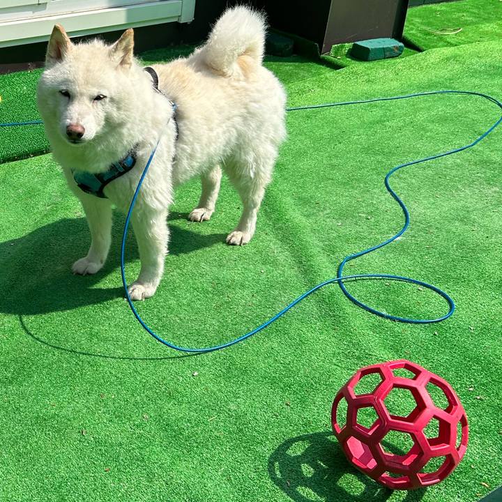 3e0e0804 dc67 465d 8dc7 e0145c2712cd 1747257787994