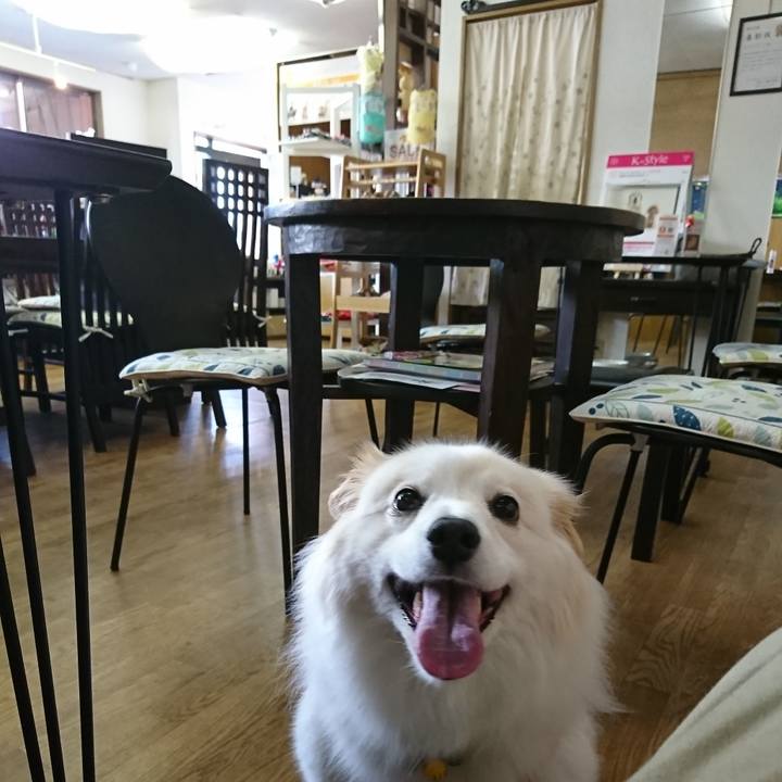 3e0e4c6a c54d 4b39 849b b095a8e397e7 1526280563759