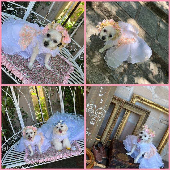 3e0f07f5 b8d8 43bd ae0e a70538484f76 1687000129350