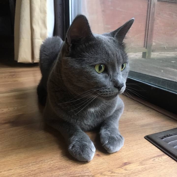 3e0f1baf eb8d 489f 8a3b 1db64a3f7b36 1633741652078