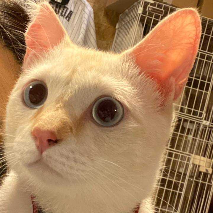 3e0f851b c154 469b a569 5be02572a573 1601186258868