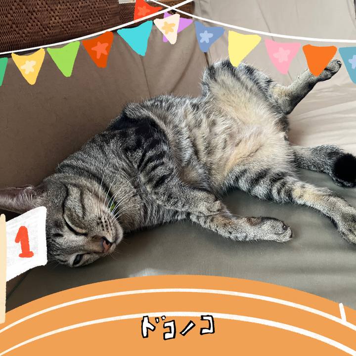 3e1002e2 30ca 4195 9da0 bcab2a3a4339 1761366807424