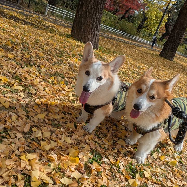 3e101046 7551 479e 9bc1 7eb9d82e5f9e 1763638750239