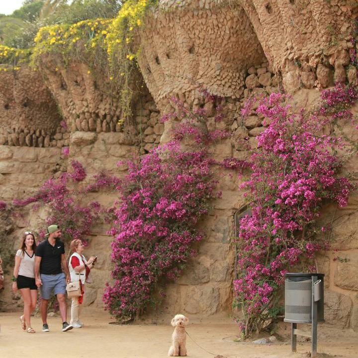 3e1067a8 3156 4bb9 984b b8fd40c950c4 1558908158819