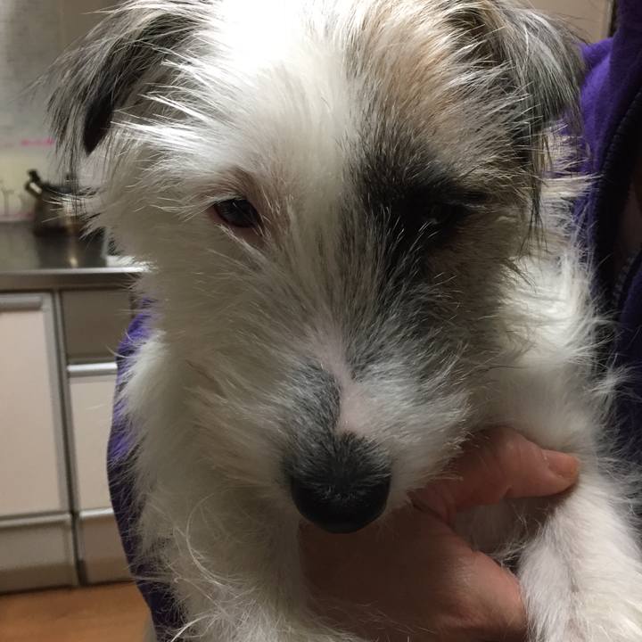 3e10858c da5b 467a 977c 9e73e11fb907 1513386621473