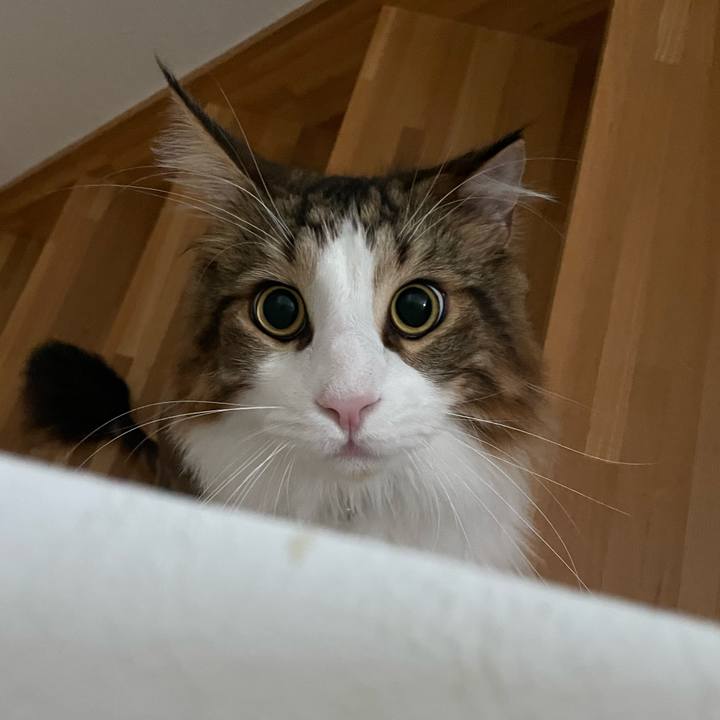 3e109e5f 665b 4cc8 9671 da3f379a054c 1660593713862