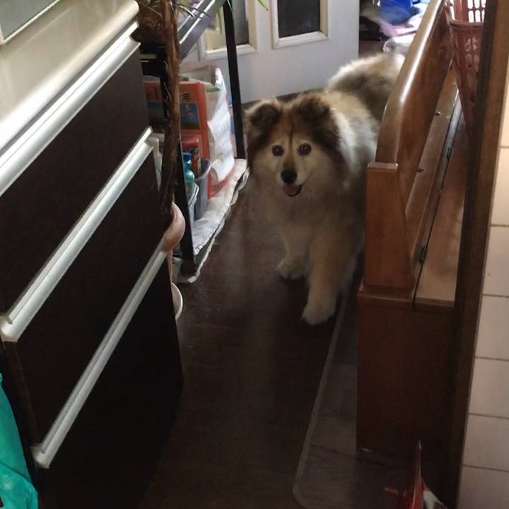 3e10b92c 43a3 4ed1 8f37 c7380213d208 1593049056696