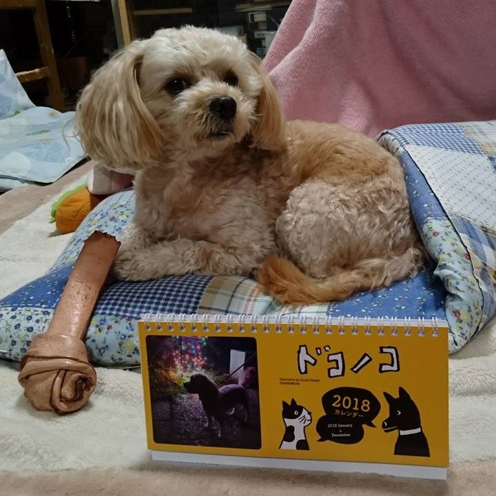 3e10ba40 0f2d 449c bf0b 3339f0c29ea3 1510920366240