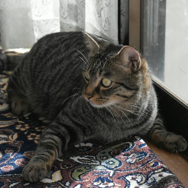 3e11048f 6a7d 460d b482 0ff766d173d2 1512707694200