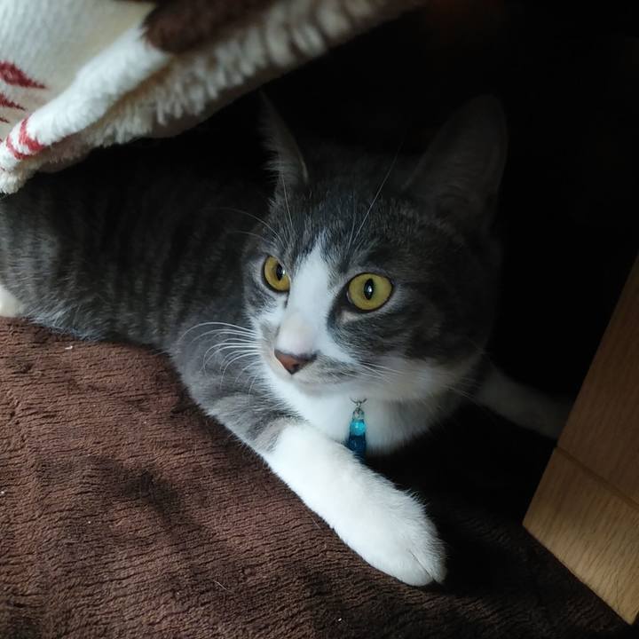 3e1128a6 efbc 43d0 84e0 18bab60a6d69 1582245613002