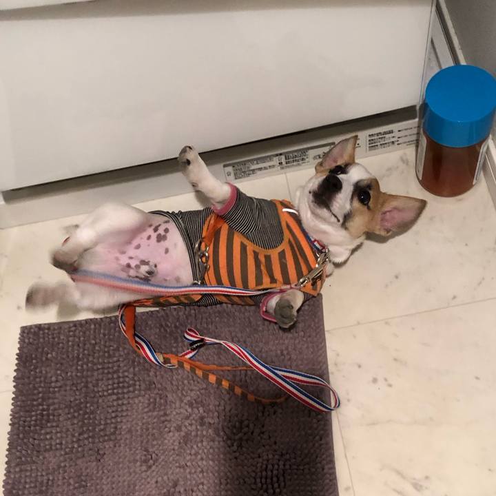 3e116091 cc37 4647 9001 f581477a3cf6 1551102423618