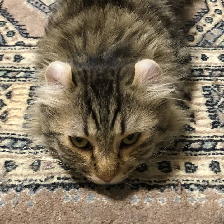 3e117fba 2728 418a b228 0db9ae259f5d 1527041915371