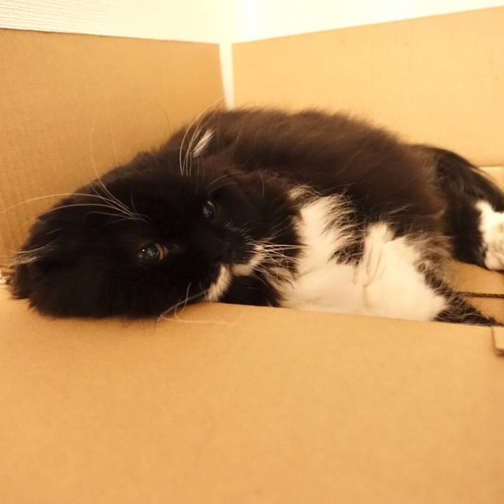 3e119b61 ea4c 4b13 912b de536abb7c40 1518053038511