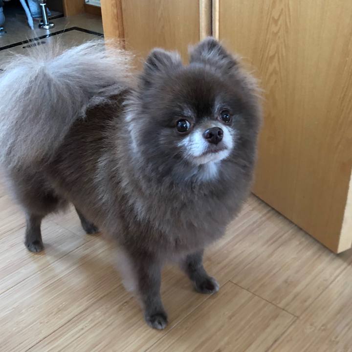 3e11b73e 87eb 4746 a958 2c0e5dfcde26 1559028729279