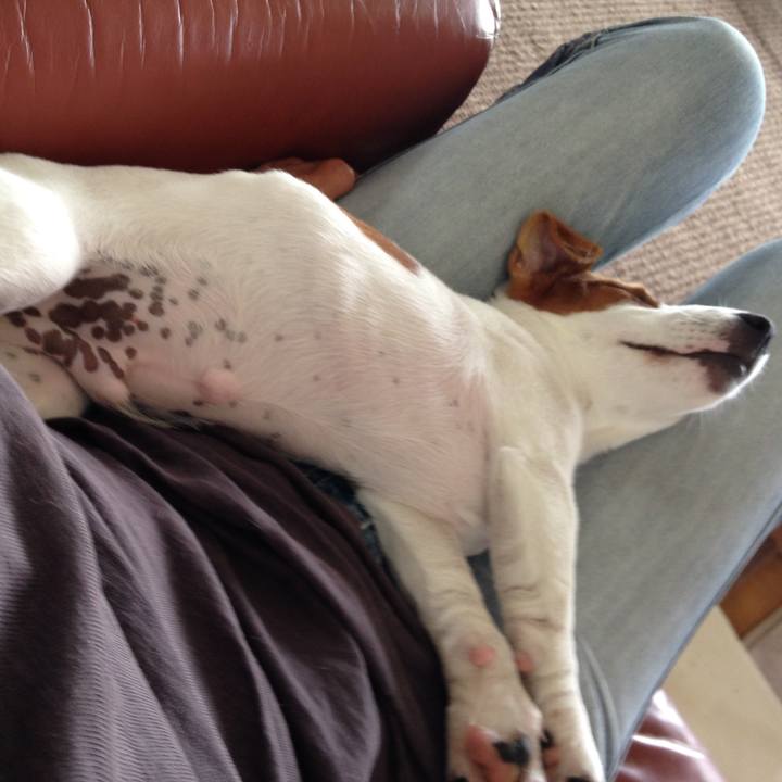 3e11ca97 f949 4141 8d78 925a90006c2b 1553508961532