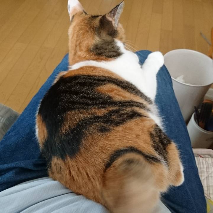 3e11d49b e9fa 4ffe 8887 c8228c1c0c40 1567236261775