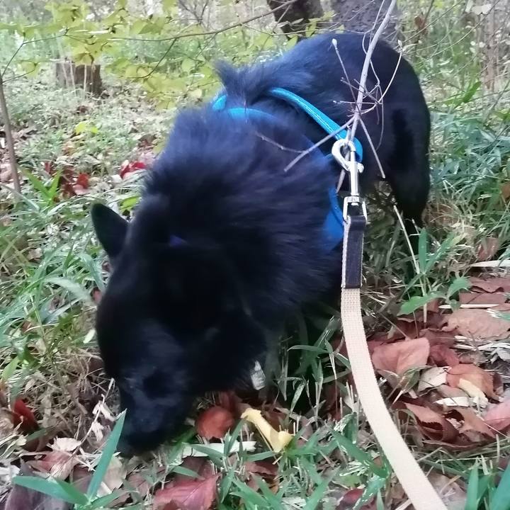 3e11da9e a7aa 4ba3 a673 329d7279eb66 1607378585474