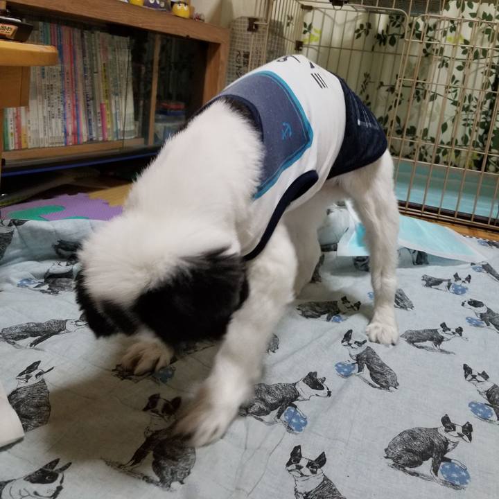 3e11e2c6 b759 4e86 b6d1 4c083e775d99 1620211397431