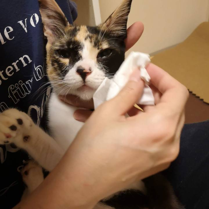 3e1233c4 03dd 4208 9970 7f09fa7e78e1 1597585192191