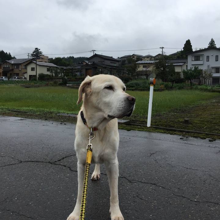 3e124caa b4b7 43e8 a579 44ede9e56267 1537853788839