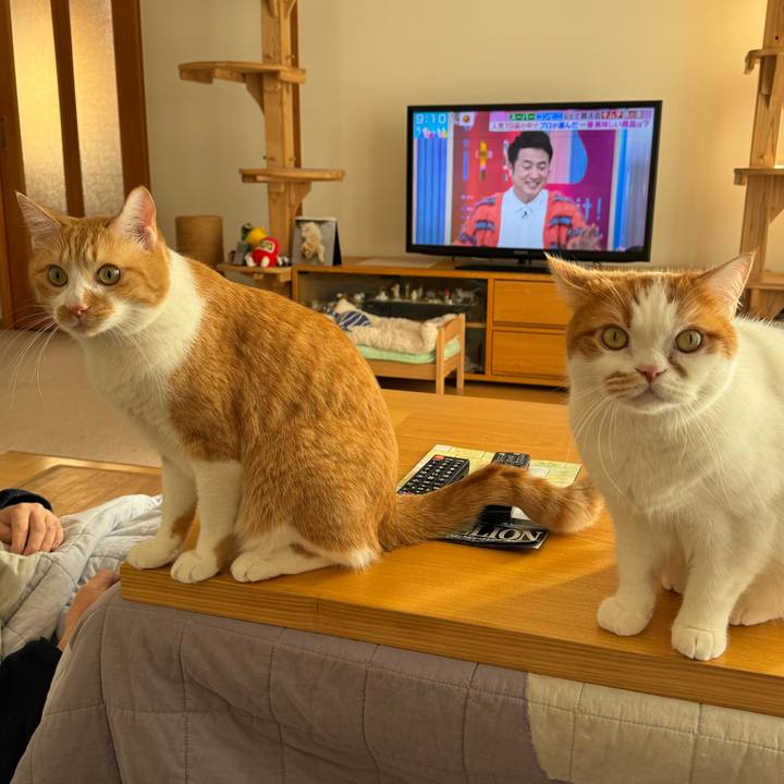 3e125116 9c91 4fda 9aed ae18f42f970e 1768271180356