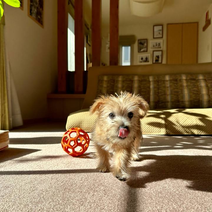 3e125222 1e41 4bc5 bc56 cede6d572e6e 1701955584171