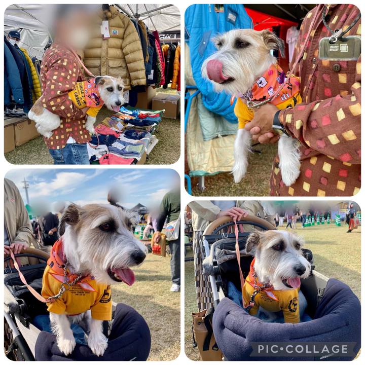 3e1279e1 22ef 4ff3 8e5c 456a2cedf154 1667122444341