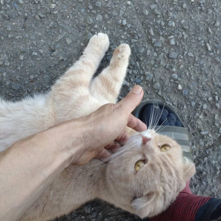 3e12850b e8a2 4f50 a56f 0bb2778c82dc 1760680700637