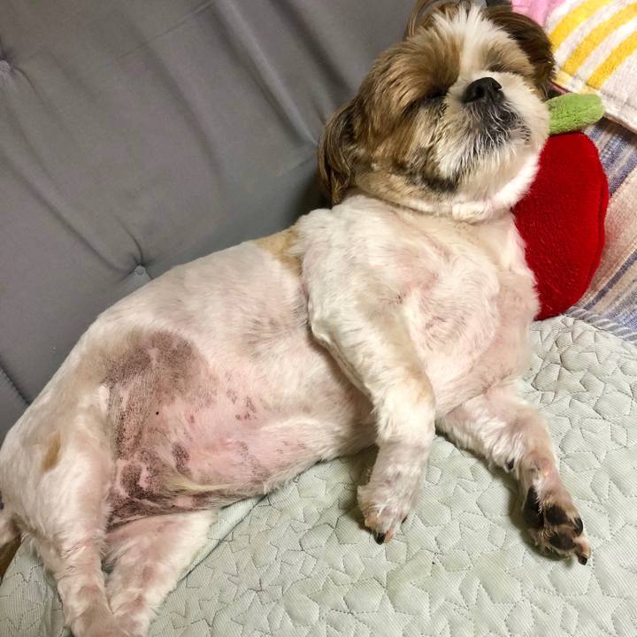 3e12a40d 8c70 487d b876 0dcb014e3480 1536418004511