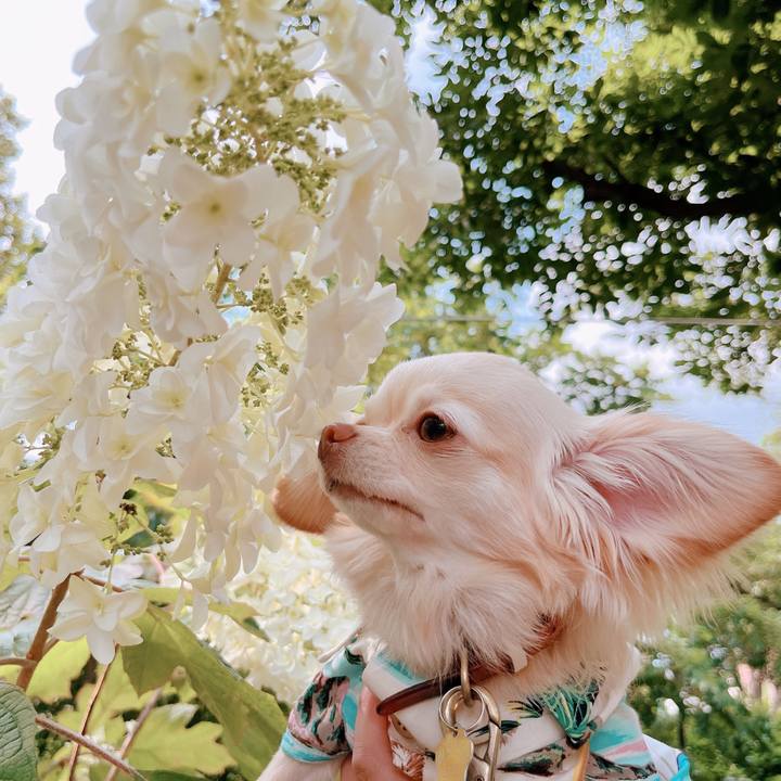 3e12c8f0 f71f 4163 ac70 b18743d14cf7 1655352824882