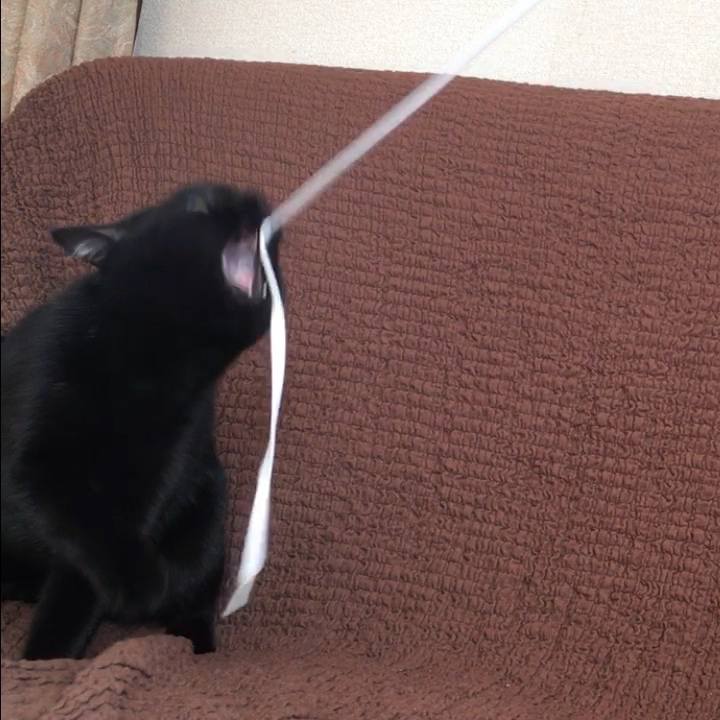 3e1372ce b4e6 4b59 8d92 6282bd501e48 1512446937908